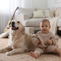 _0000s_0000_1 Житлові питання